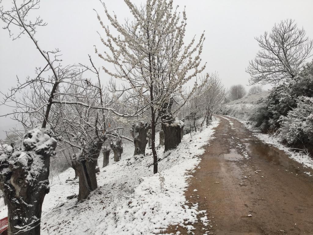 Hotel Rural El Lagar De Las Medulas Orellán Dış mekan fotoğraf